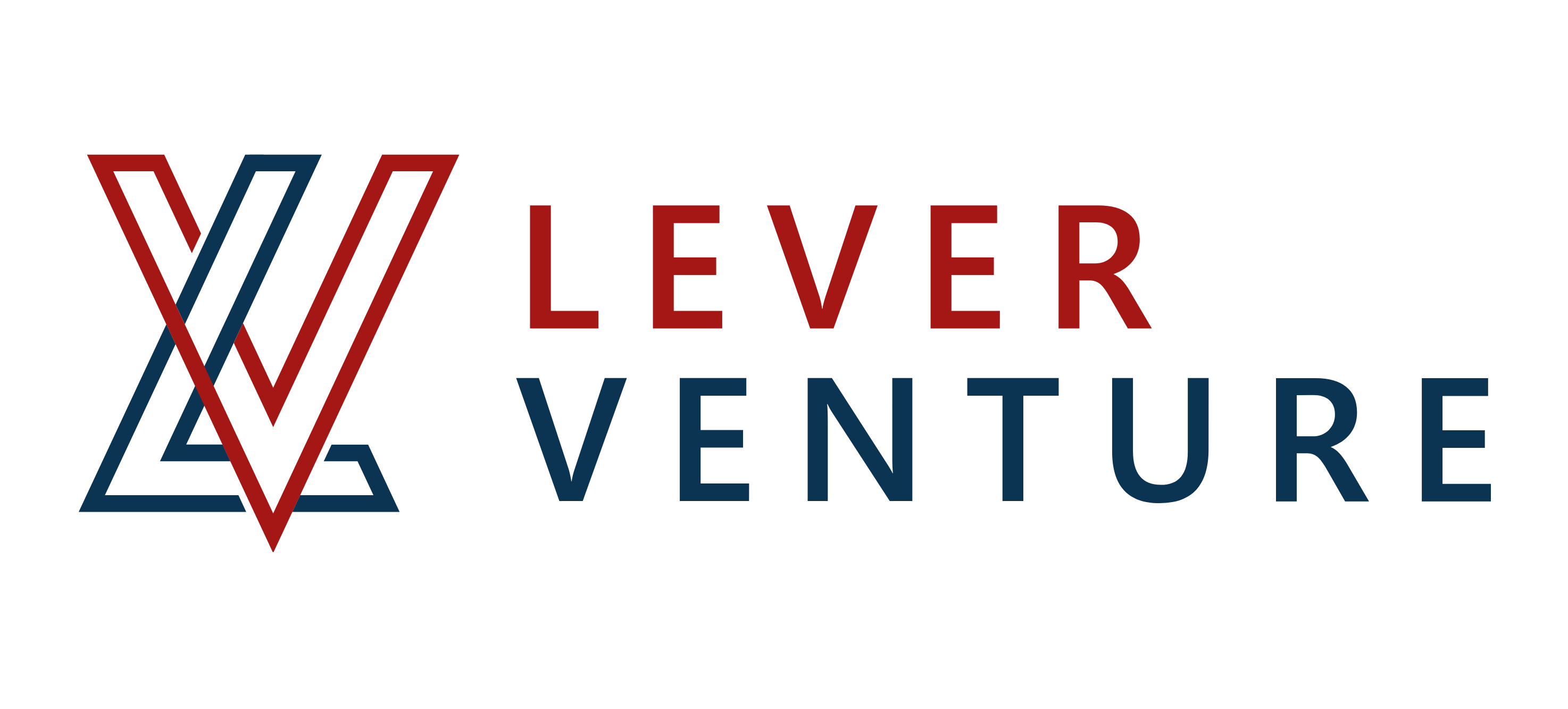 LeverVenture